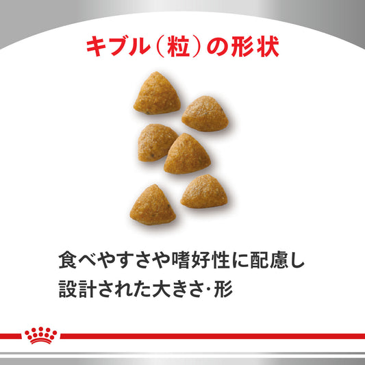 猫用 腎臓サポート スペシャル ドライ