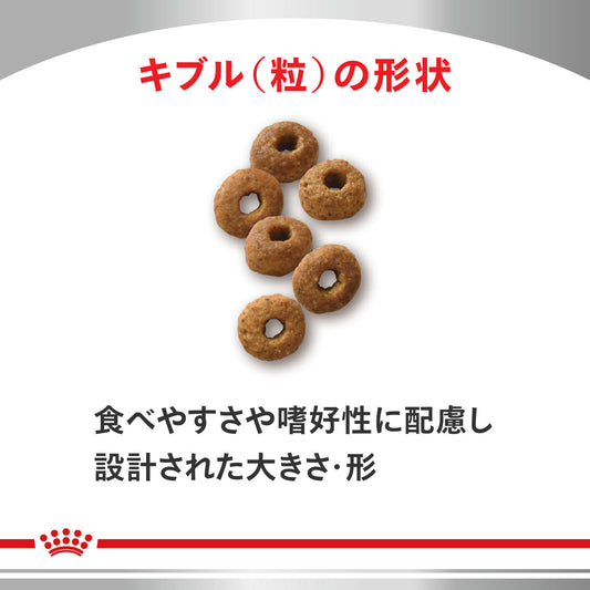 猫用 スキン&コート ドライ