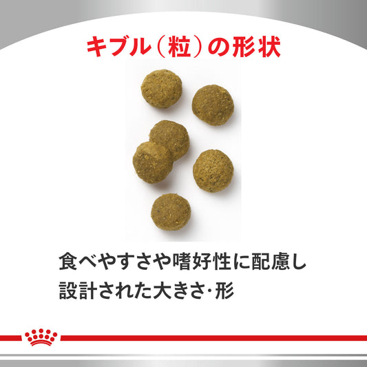 猫用 心臓サポート ドライ