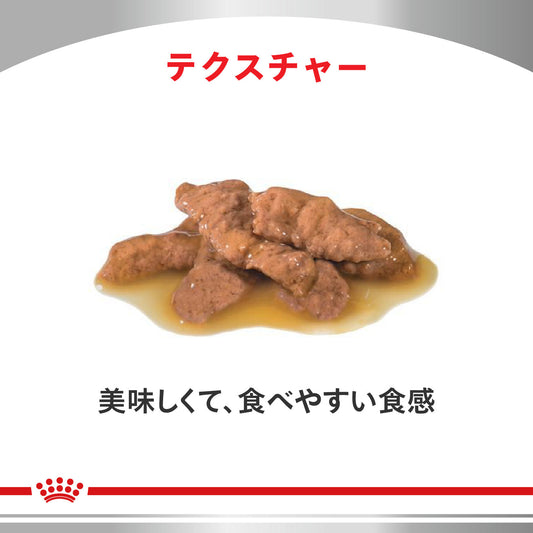 【数量限定】猫用 ユリナリーS/O ライト ウェット パウチ 2個セット