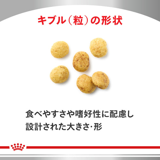 犬用 低分子プロテイン ライト 小粒 ドライ