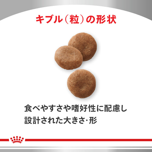 犬用 セレクトプロテイン フィッシュ&ポテト ドライ