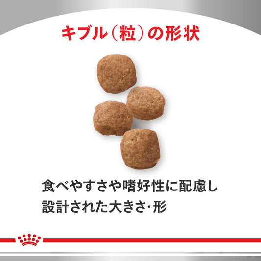 犬用 セレクトプロテイン ダック&タピオカ ドライ