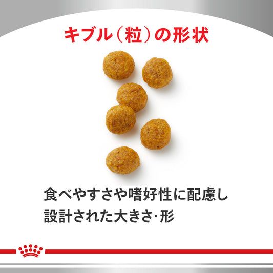 犬用 スキントピック 小型犬用 ドライ