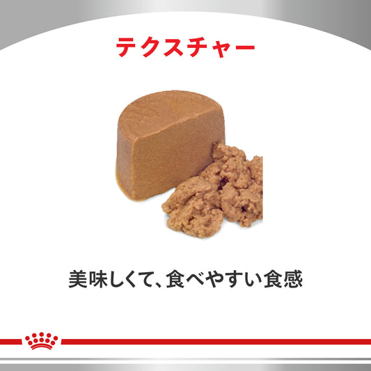 犬用 消化器サポート パピー ウェット 缶