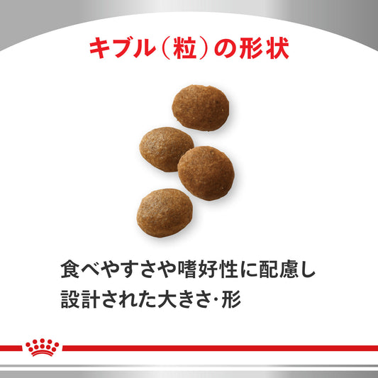 犬用 消化器サポート ドライ