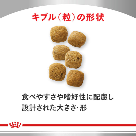 犬用 消化器サポート 低脂肪 ドライ