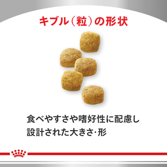 犬用 エイジングケア ドライ