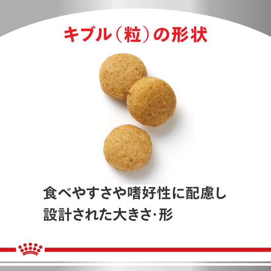 犬用 消化器サポート 低脂肪+低分子プロテイン ドライ