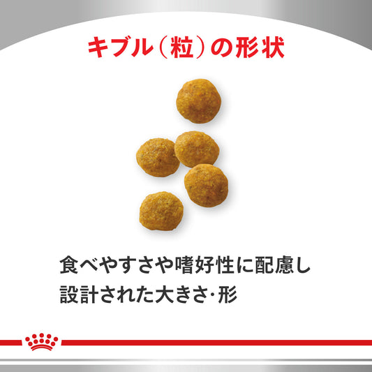 犬用 早期心臓サポート+関節サポート ドライ