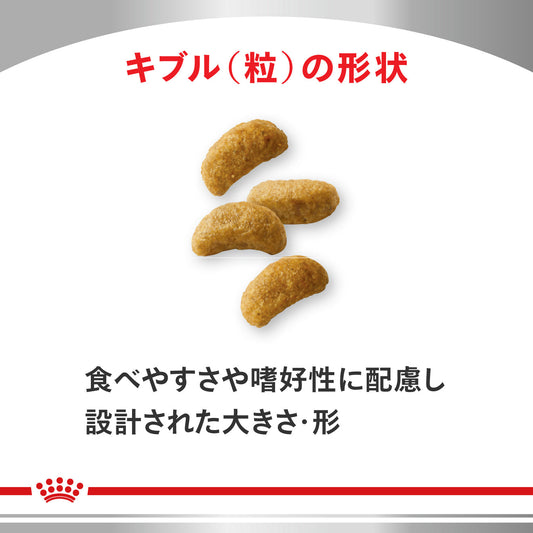 犬用 腎臓サポート セレクション ドライ
