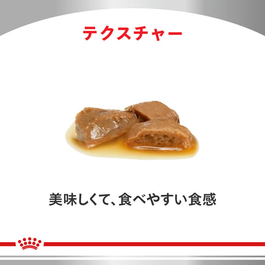 猫用　腎臓サポート＋関節サポート ウェット パウチ