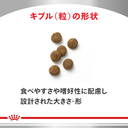 犬用　糖コントロール 小型犬用 ドライ
