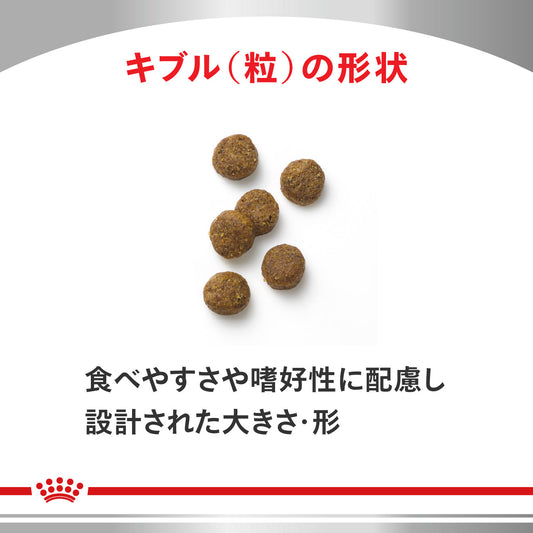 犬用　糖コントロール 小型犬用 ドライ