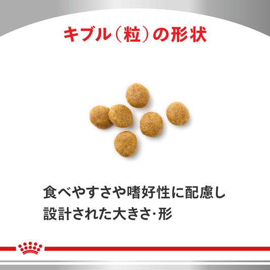 猫用　腎臓サポート＋関節サポート ドライ