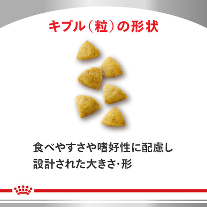 猫用　低分子プロテイン ドライ