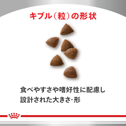 猫用　消化器サポート ドライ