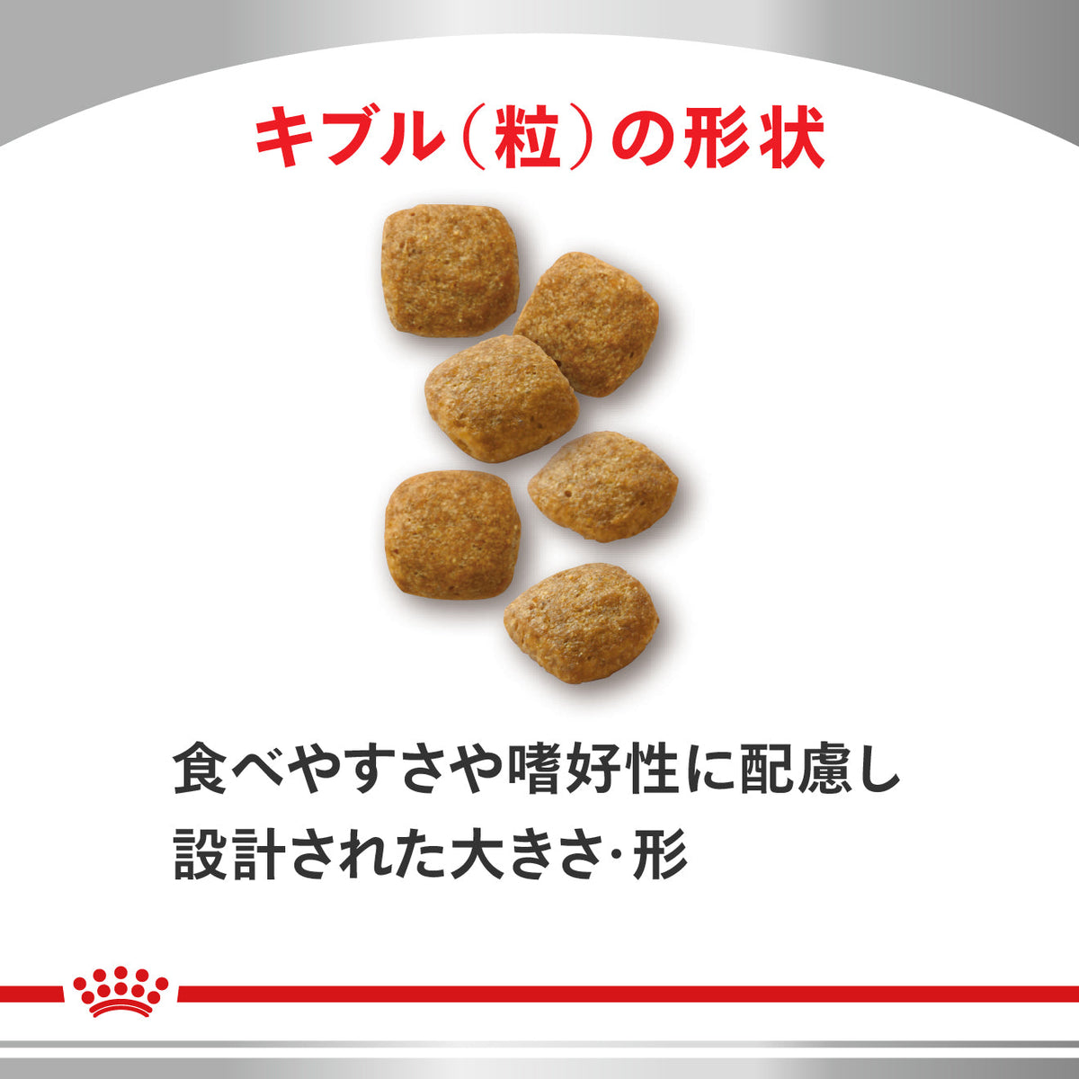 猫用　糖コントロール ドライ