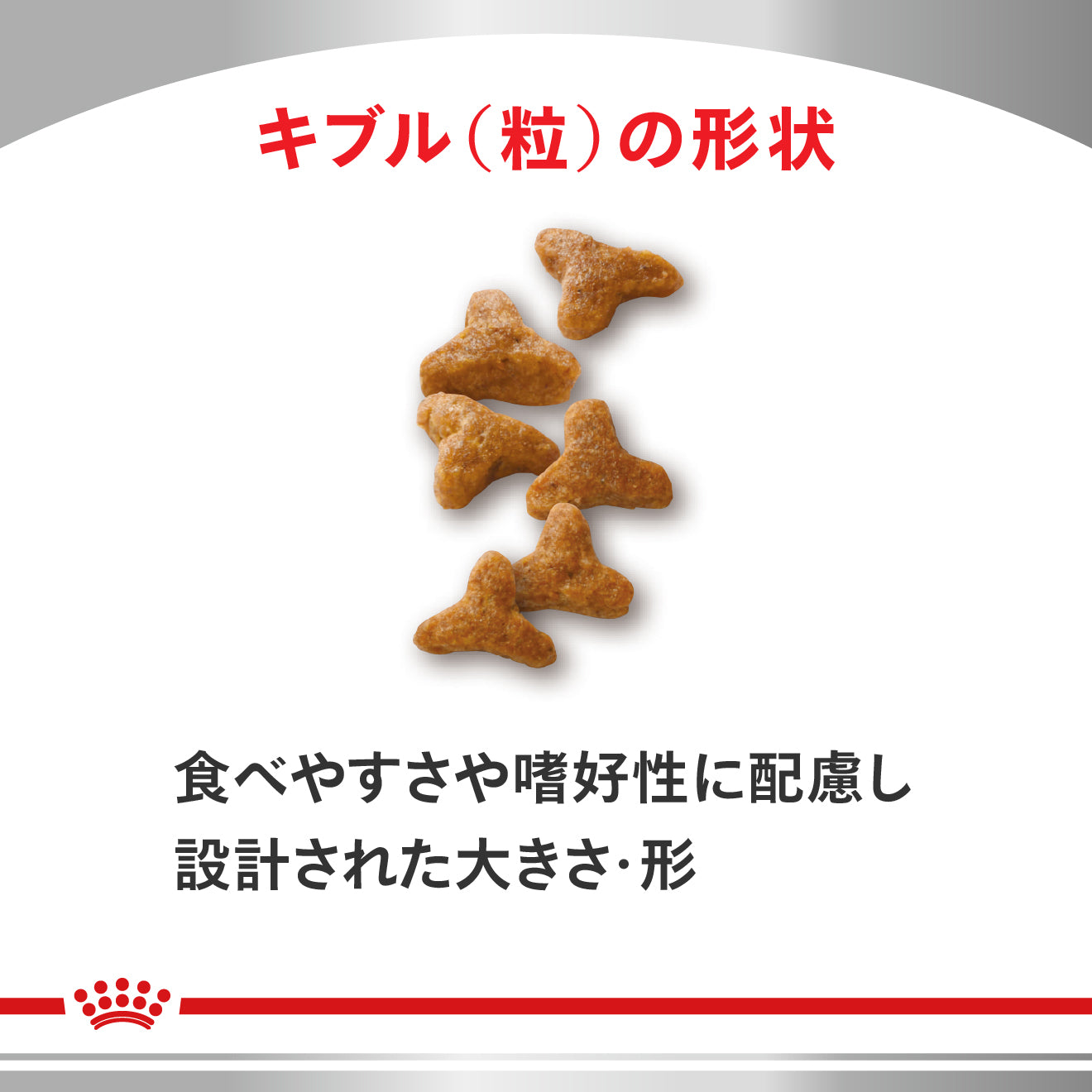 猫用 消化器サポート 可溶性繊維 ドライ｜ ロイヤルカナン療法食公式