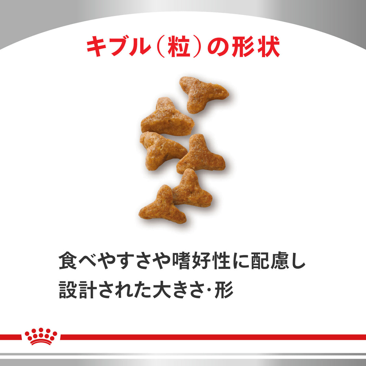 猫用　消化器サポート 可溶性繊維 ドライ