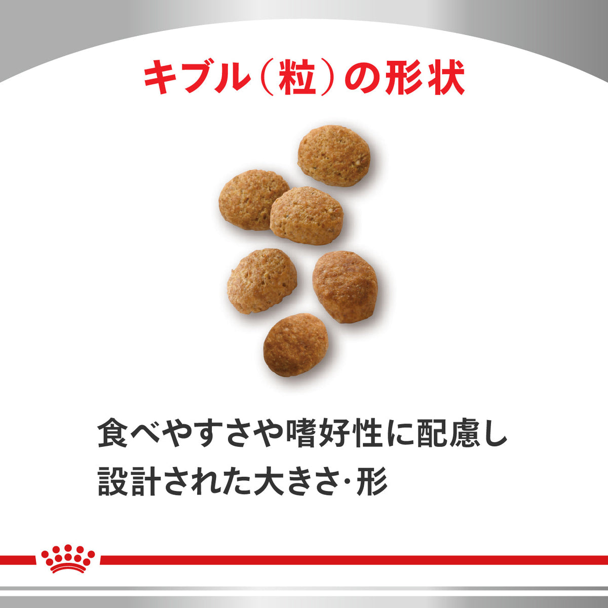 猫用　セレクトプロテイン ダック＆ライス ドライ