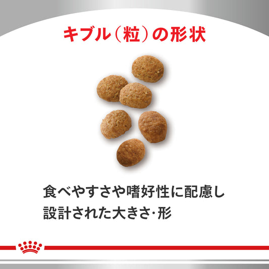 猫用　セレクトプロテイン ダック＆ライス ドライ