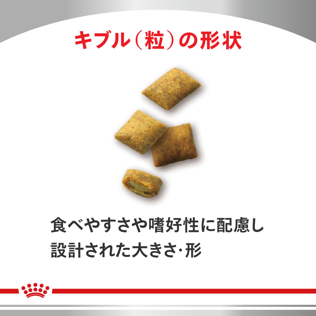 猫用　腎臓サポート セレクション ドライ