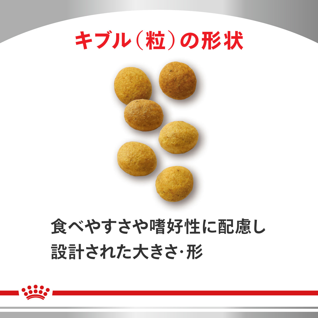 ロイヤルカナン　アミノペプチドフォーミュラ　猫用 猫用 アミノペプチド フォーミュラ ドライ｜ ロイヤルカナン療法食公式