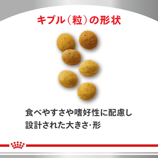 猫用　アミノペプチド フォーミュラ ドライ