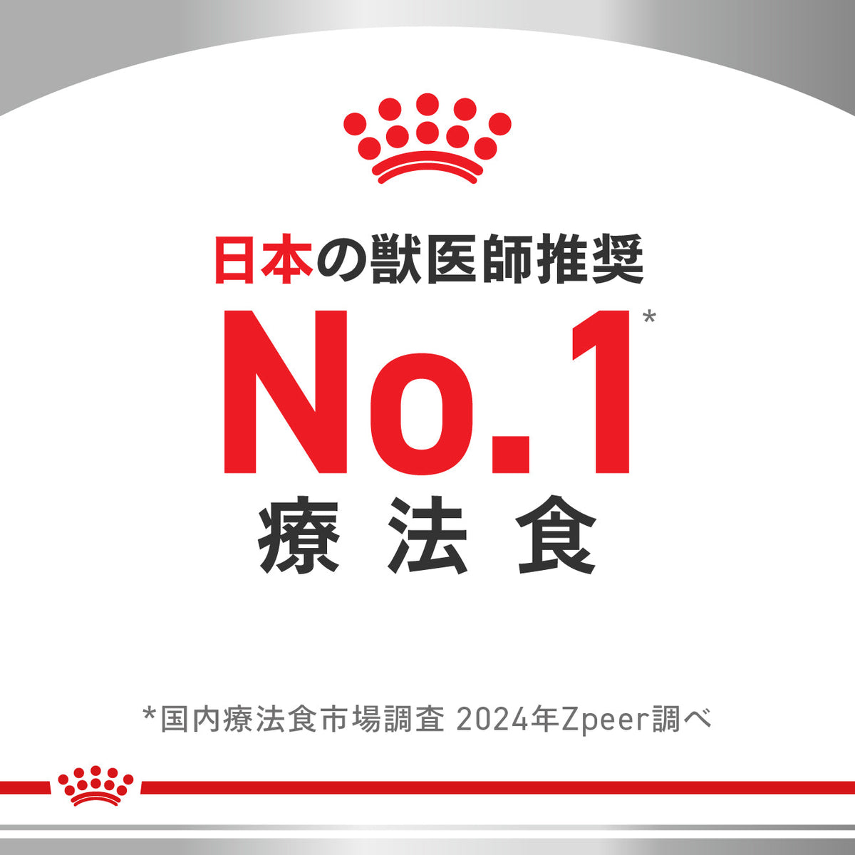 猫用　アミノペプチド フォーミュラ ドライ