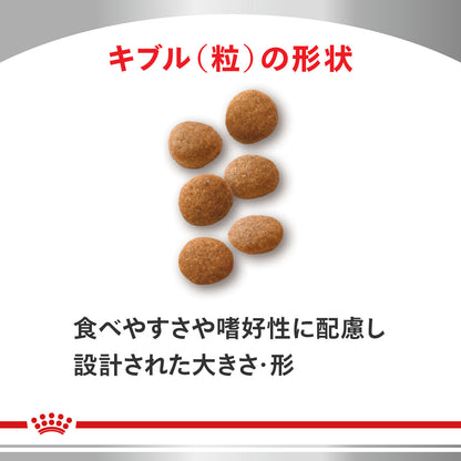 猫用　ユリナリーS/O ライト ドライ