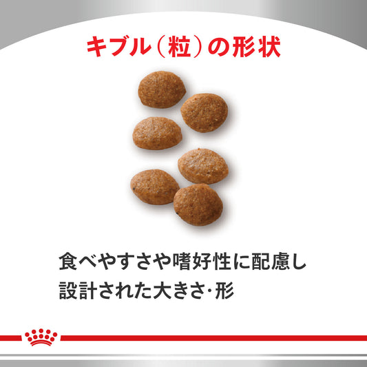 猫用　ユリナリーS/O オルファクトリー ドライ