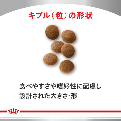 猫用　ユリナリーS/O オルファクトリー ライト ドライ