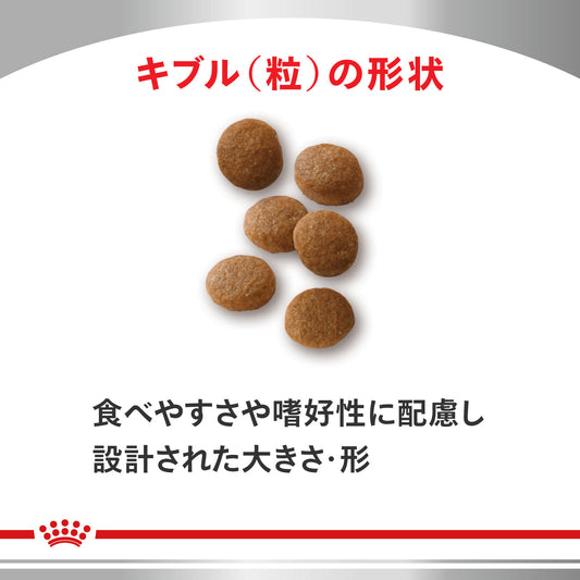 猫用　ユリナリーS/O オルファクトリー ライト ドライ