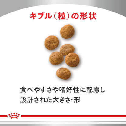 猫用　ユリナリーS/O エイジング7+ ＋ CLT ドライ
