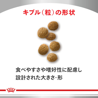 猫用　ユリナリーS/O＋CLT ドライ