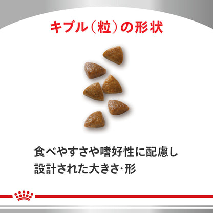猫用　消化器サポート キトン ドライ