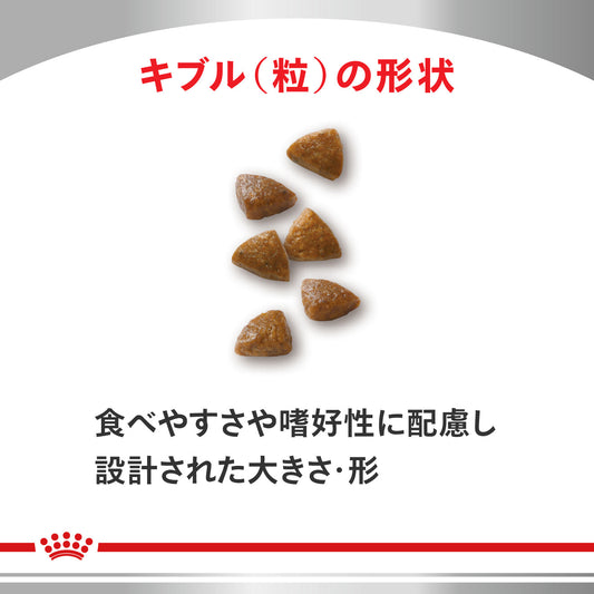 猫用　消化器サポート キトン ドライ