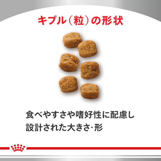 猫用　早期腎臓サポート ドライ