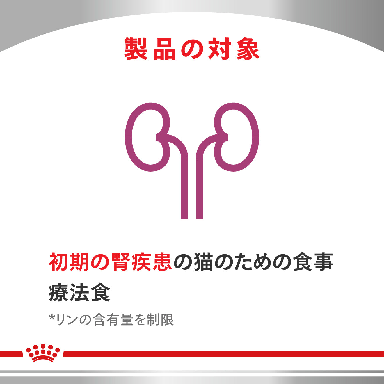 猫用 早期腎臓サポート ドライ| ロイヤルカナン療法食公式オンライン 猫用 早期腎臓サポート ドライ| ロイヤルカナン療法食公式オンライン