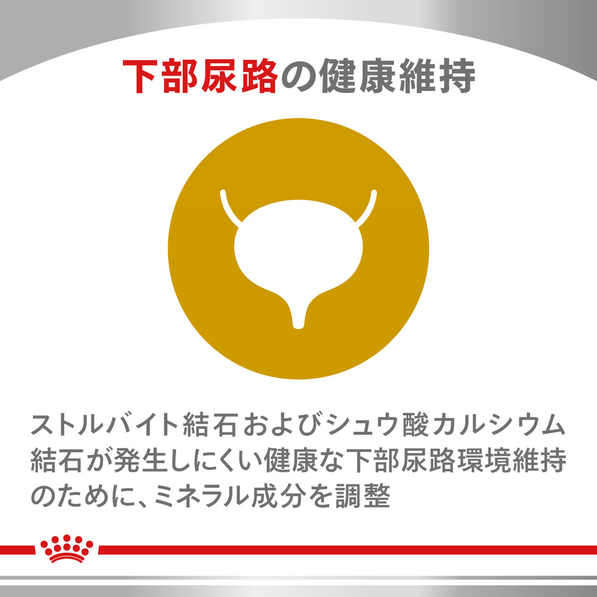 猫用　ニュータードケア ドライ