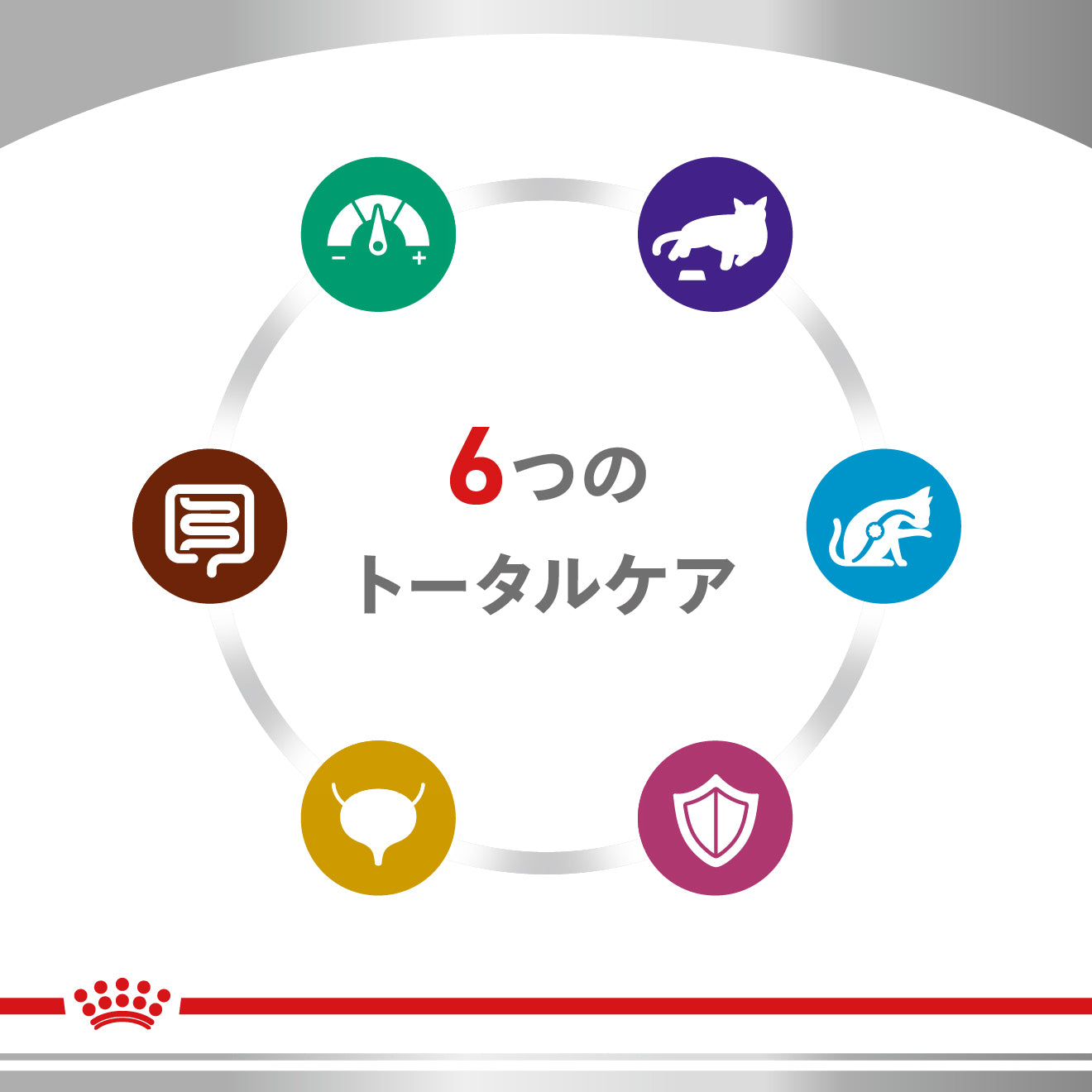猫用 ニュータードケア ドライ｜ ロイヤルカナン療法食公式オンライン