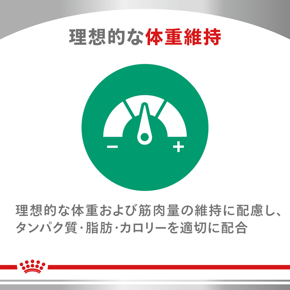 猫用　ニュータードケア ドライ