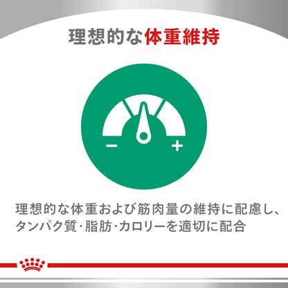 猫用　ニュータードケア ドライ