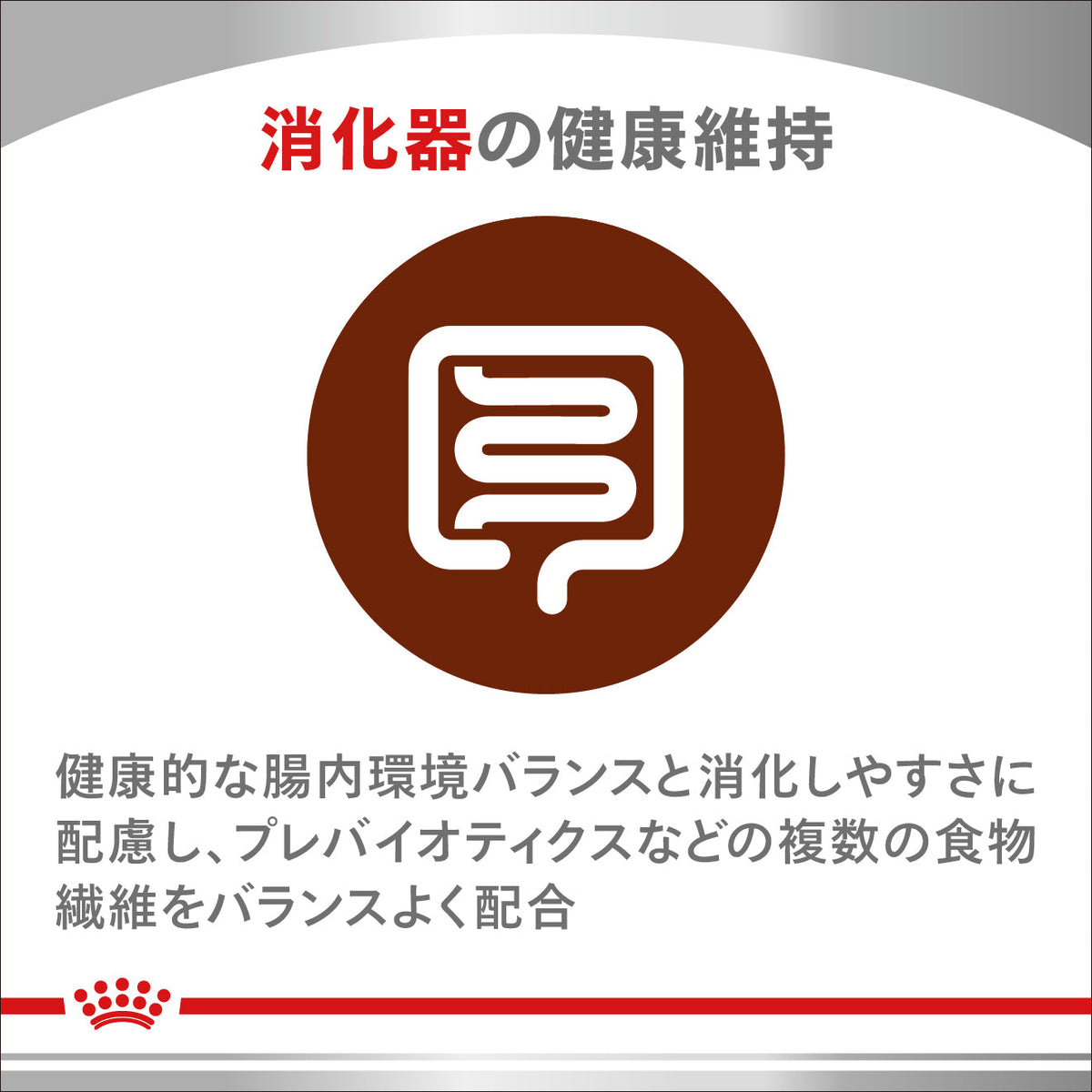 猫用　ニュータードケア ドライ