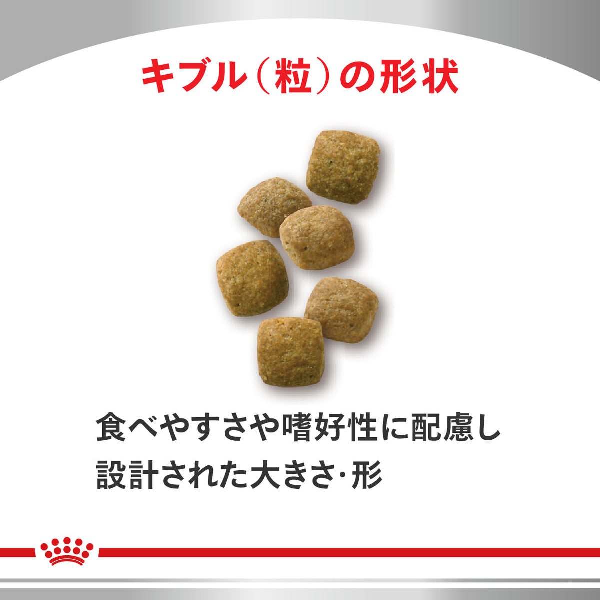 猫用　エイジングケア ドライ