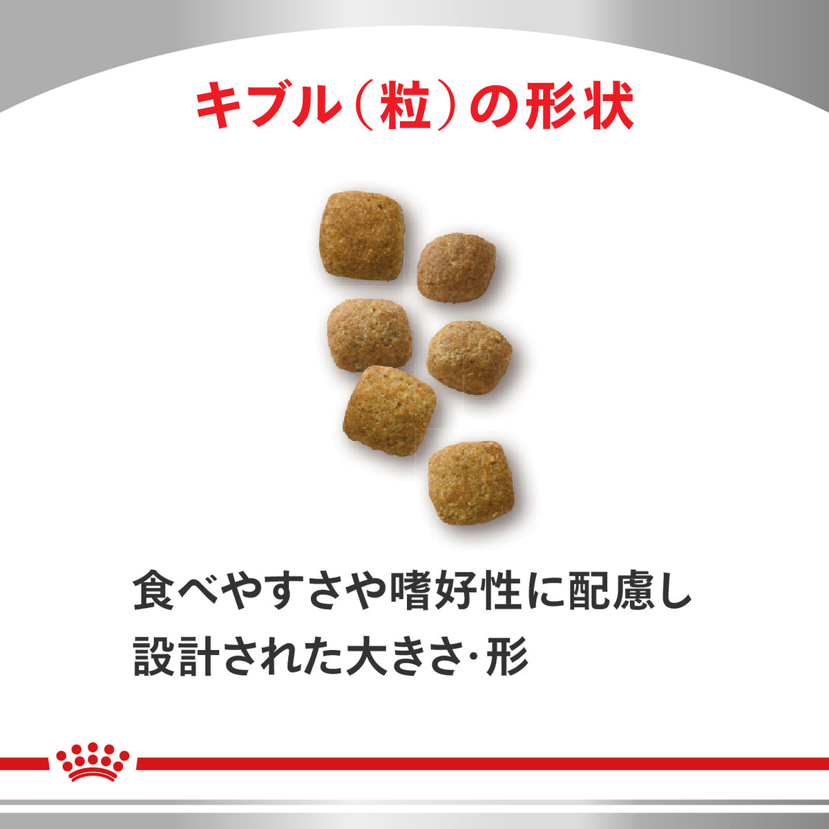 猫用　エイジングケア ライト ドライ