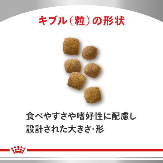 猫用　エイジングケア ライト ドライ