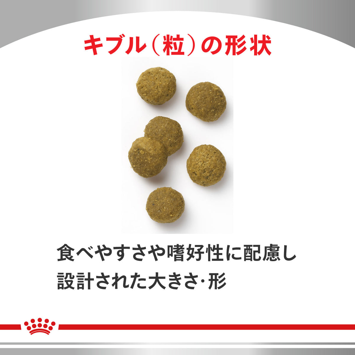 猫用　心臓サポート ドライ