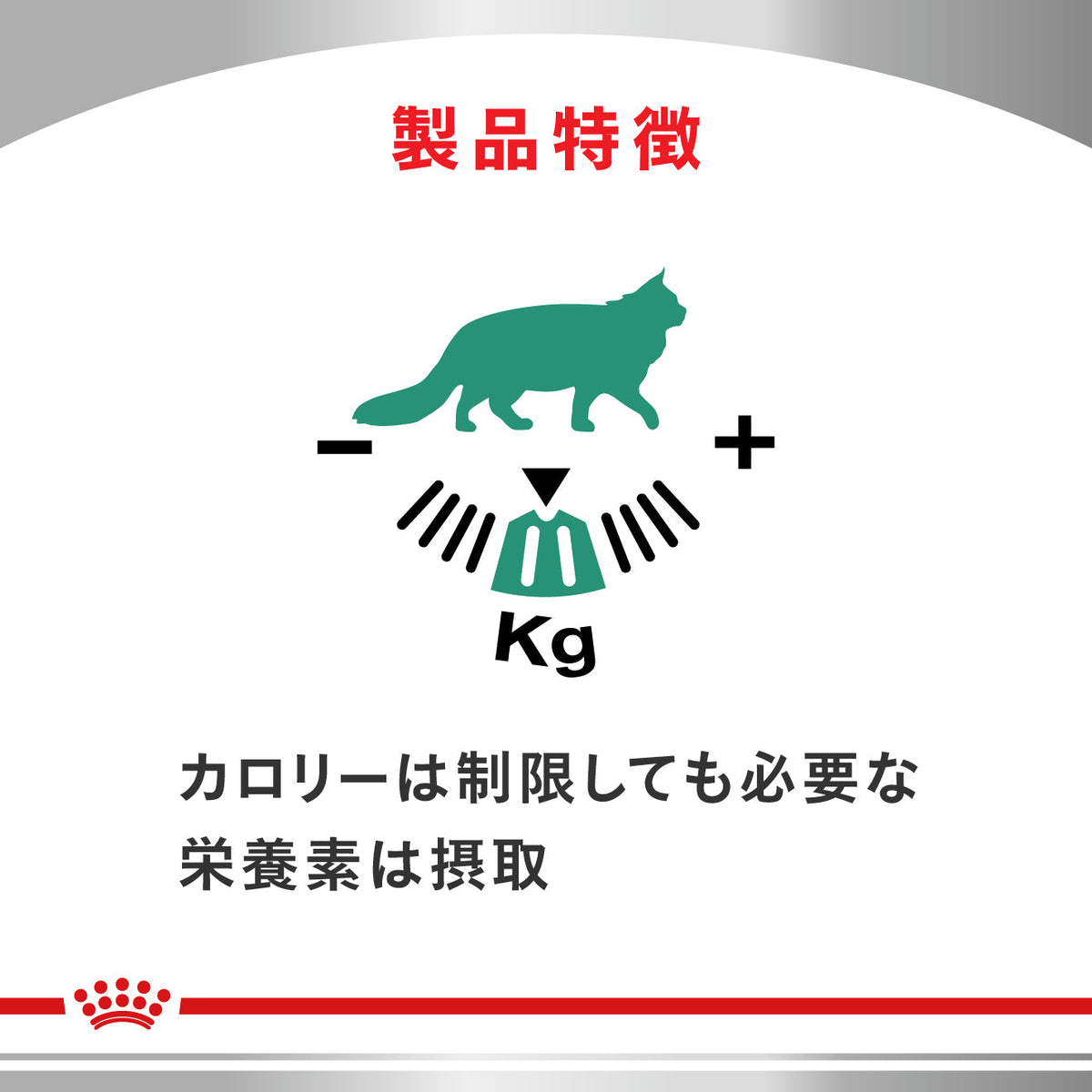 猫用　満腹感サポート ウェット パウチ